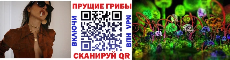 Галлюциногенные грибы MAGIC MUSHROOMS где купить наркотик Джанкой