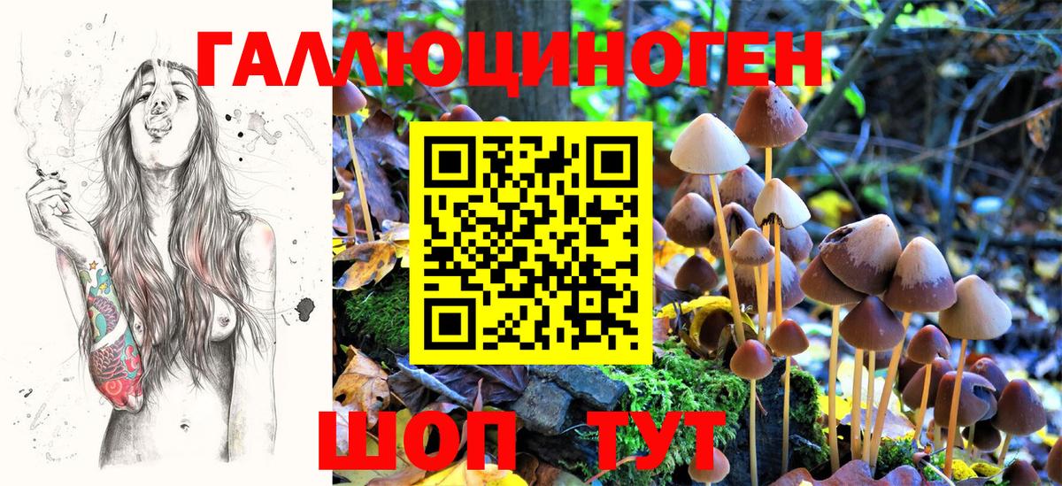 Псилоцибиновые грибы Psilocybine cubensis  Вход с VPN  хочу   Джанкой 