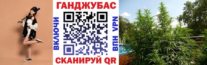 МАРИХУАНА гибрид Джанкой